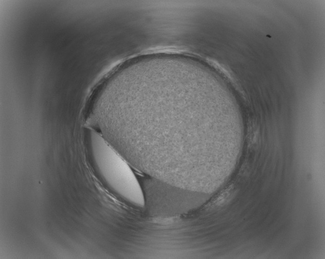 X0000082201406200702170006