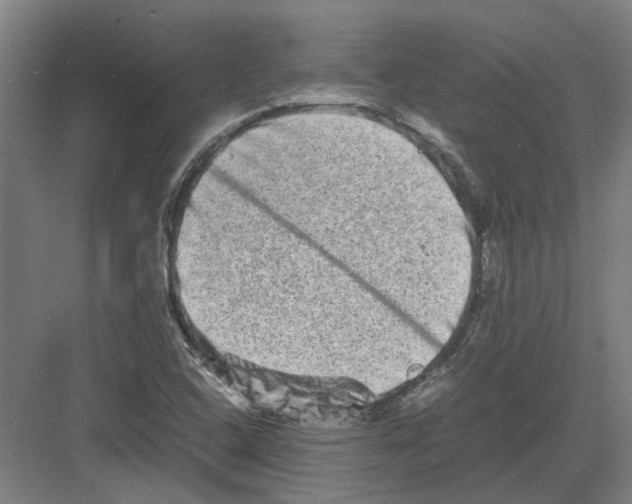 X0000082201408200702170006