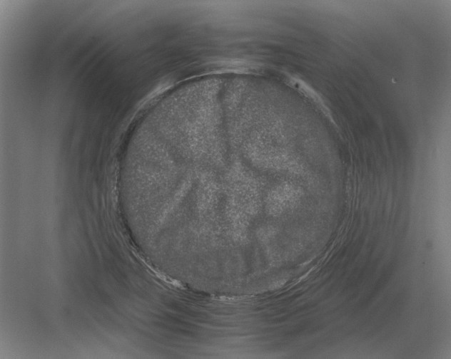 X0000082201411200702170006