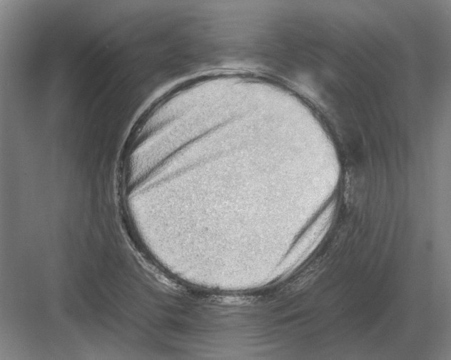 X0000082201412200702170006