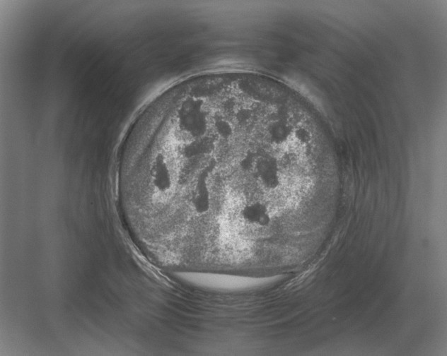 X0000082201413200702170006