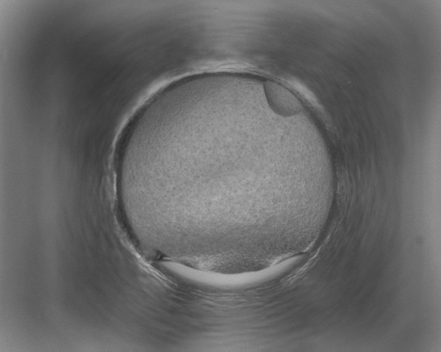 X0000082201414200702170006