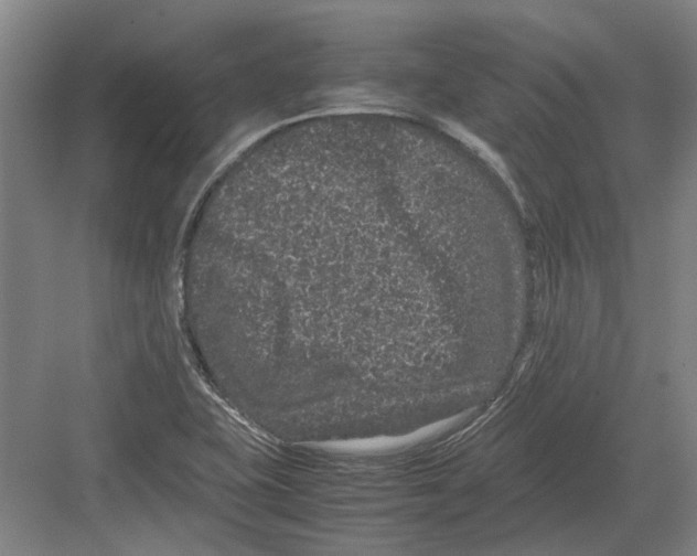 X0000082201415200702170006