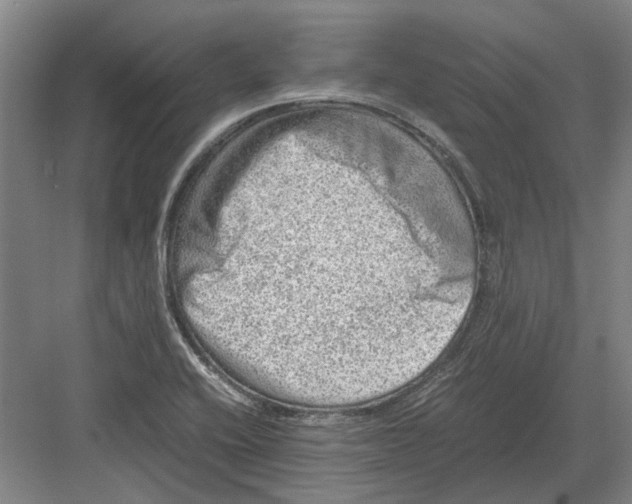 X0000082201416200702170006