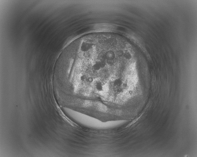 X0000082201417200702170006