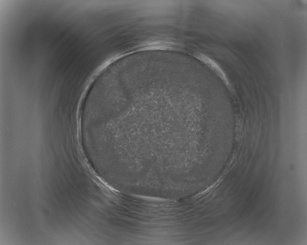 X0000082201419200702170006