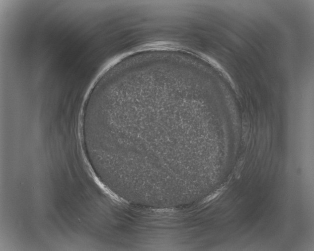 X0000082201421200702170006