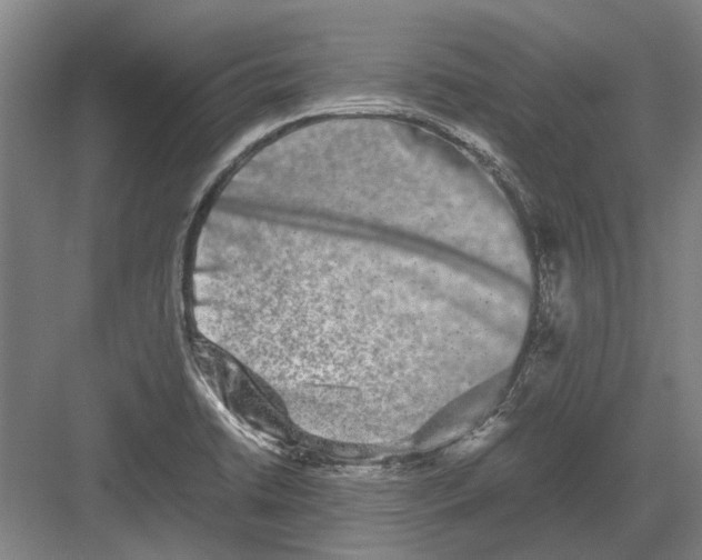 X0000082201422200702170006