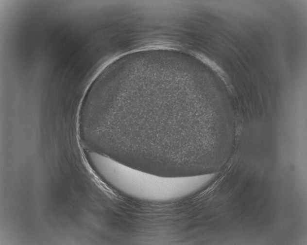 X0000082201423200702170006