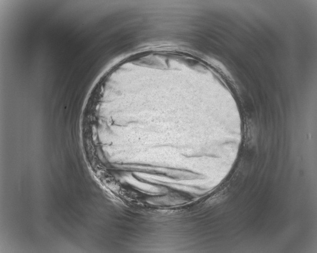 X0000082201424200702170006