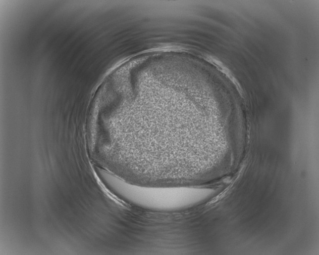 X0000082201425200702170007