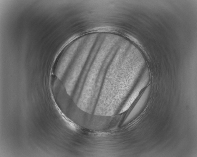 X0000082201426200702170007