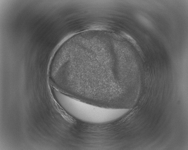 X0000082201427200702170007