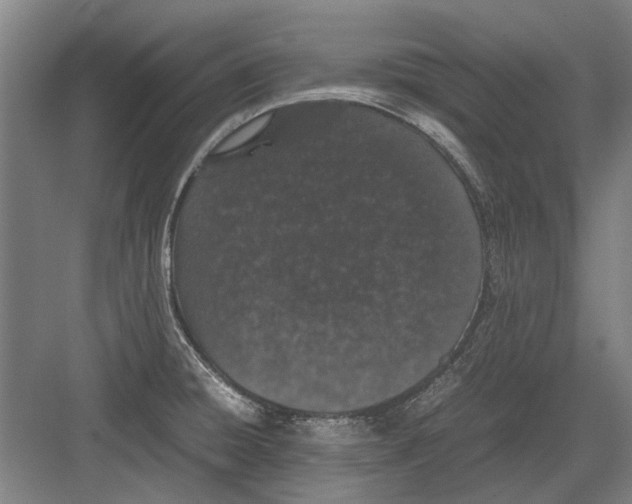 X0000082201428200702170007