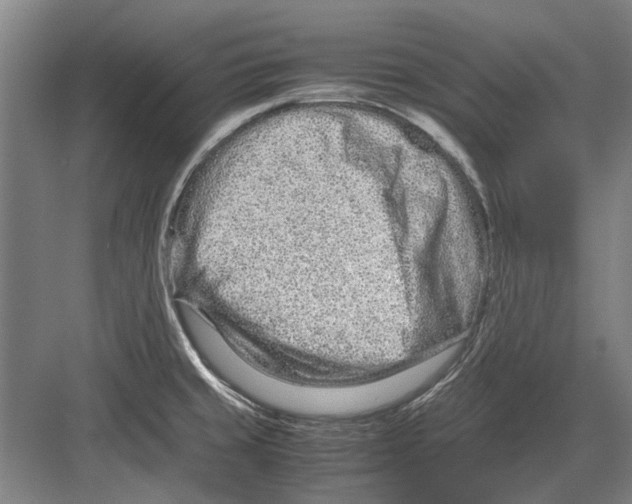 X0000082201429200702170007