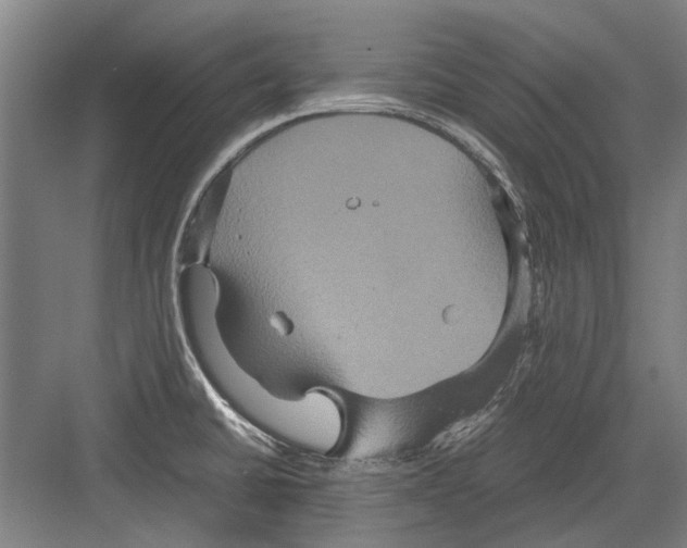 X0000082201430200702170007