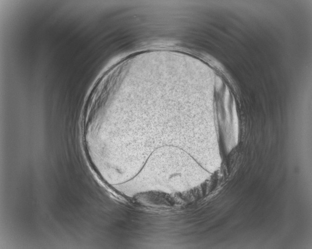 X0000082201432200702170007