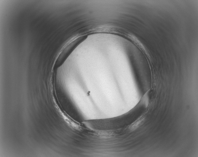 X0000082201434200702170007