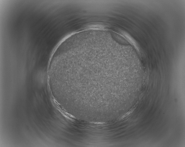 X0000082201435200702170007