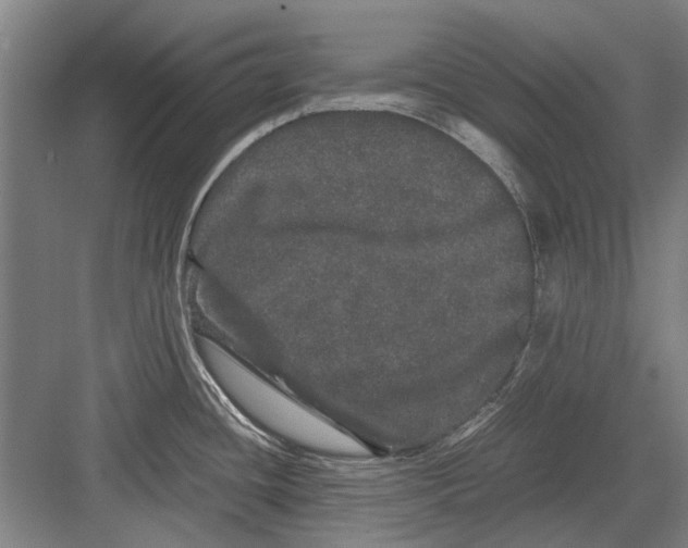 X0000082201436200702170007