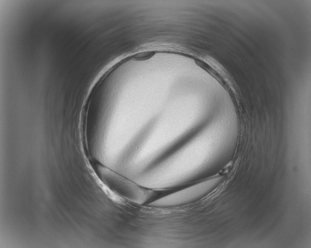 X0000082201438200702170007