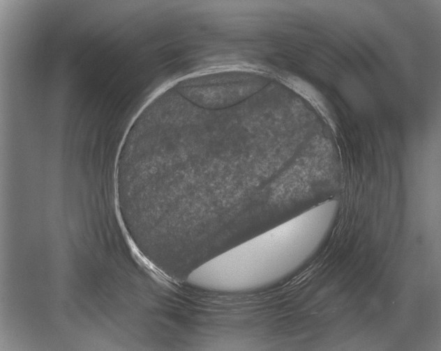 X0000082201439200702170007