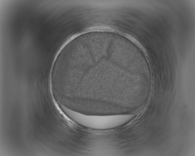 X0000082201440200702170007