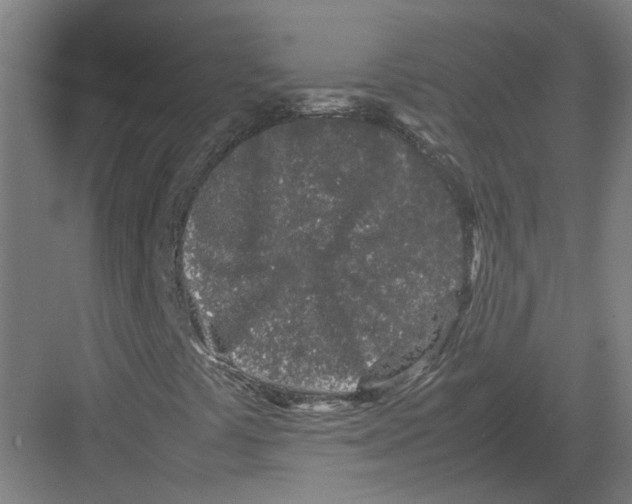 X0000082201441200702170006