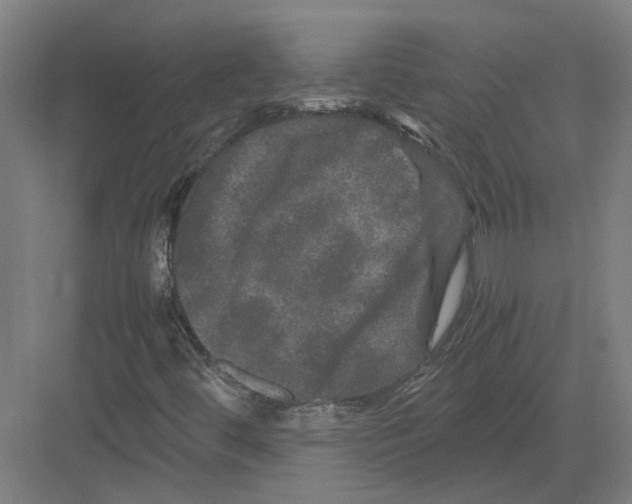 X0000082201444200702170006