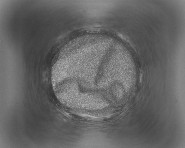 X0000082201445200702170006