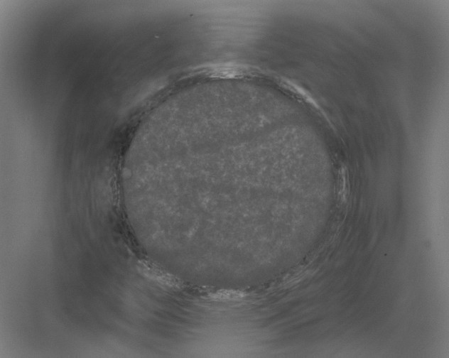 X0000082201446200702170006