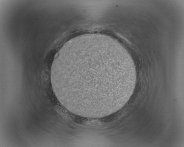 X0000082201447200702170006