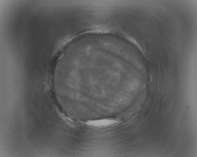 X0000082201448200702170006