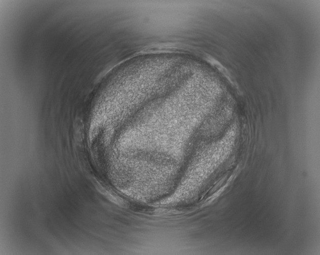 X0000082201449200702170006