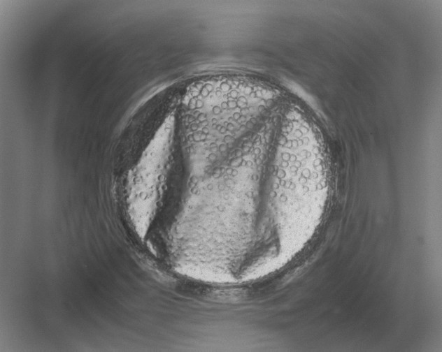 X0000082201453200702170006