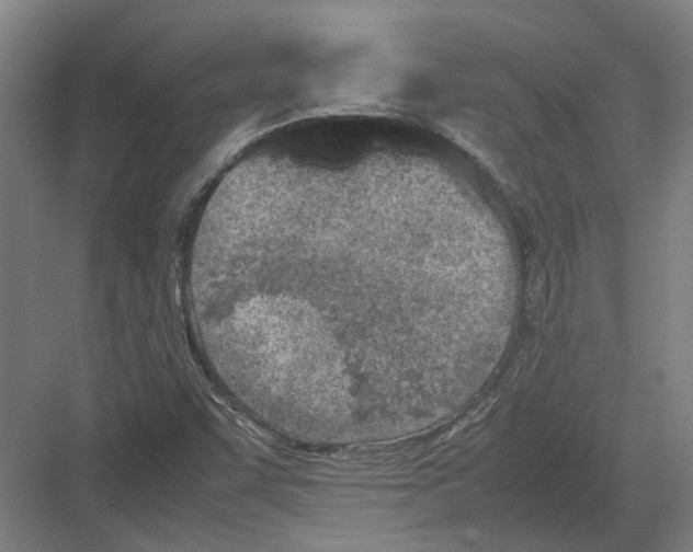 X0000082201455200702170006