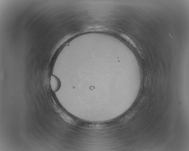 X0000082201458200702170006