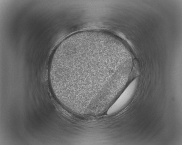 X0000082201459200702170006