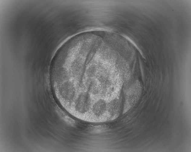 X0000082201460200702170006