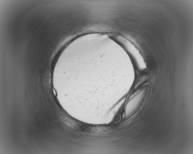 X0000082201461200702170006