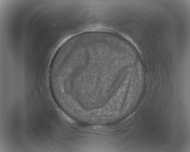 X0000082201463200702170006