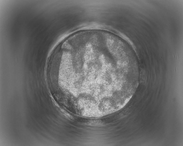 X0000082201464200702170006