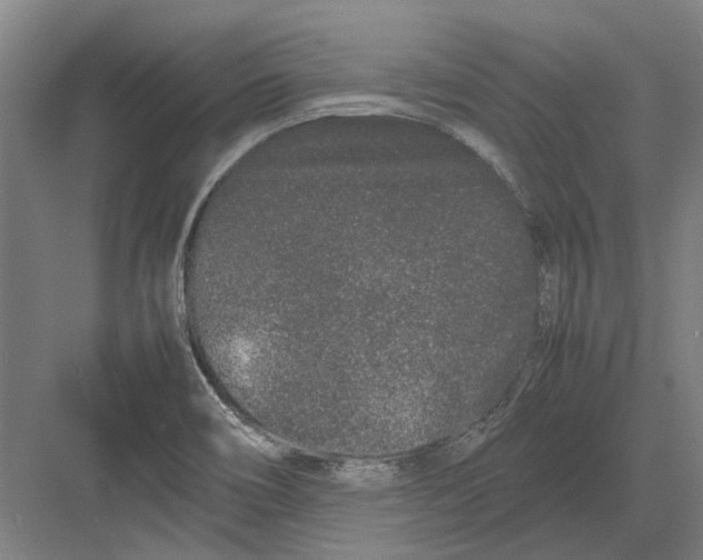 X0000082201466200702170006