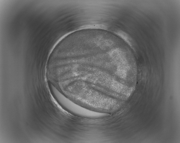 X0000082201468200702170005