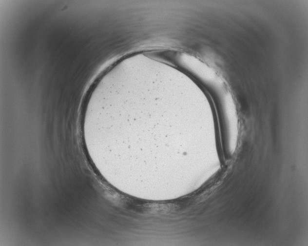 X0000082201469200702170005