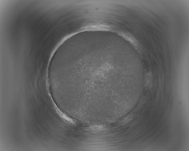 X0000082201470200702170005