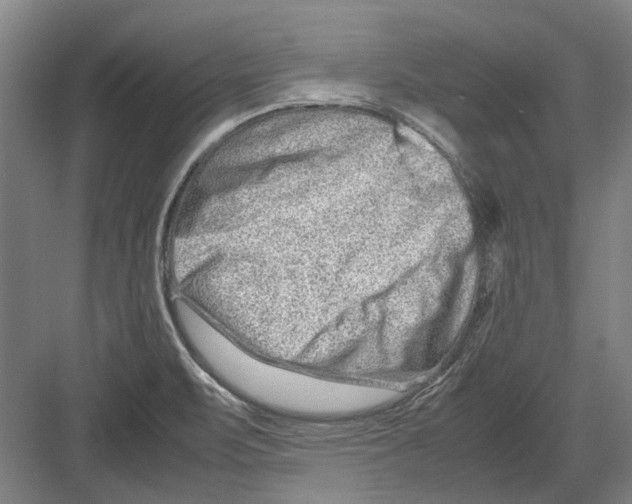 X0000082201471200702170005