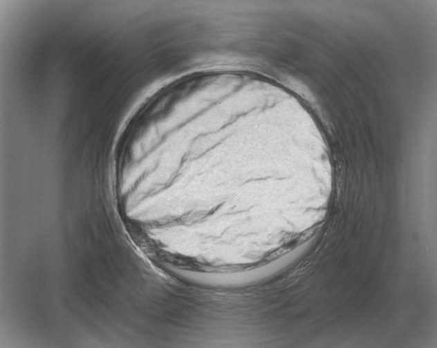 X0000082201472200702170005