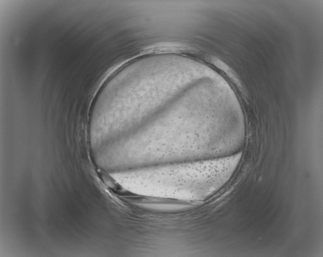 X0000082201473200702170005