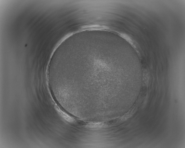 X0000082201474200702170005